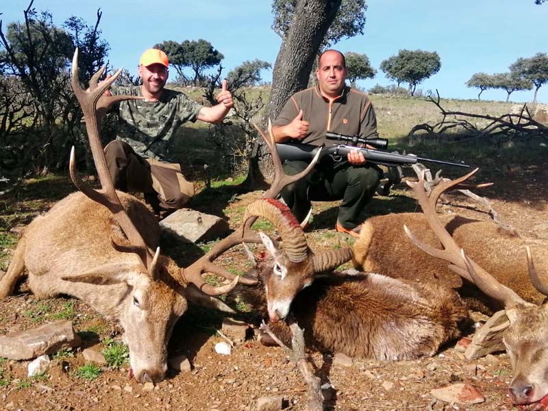 Monteria en El Pocico